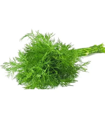 Dill Leaves in Ghazipur